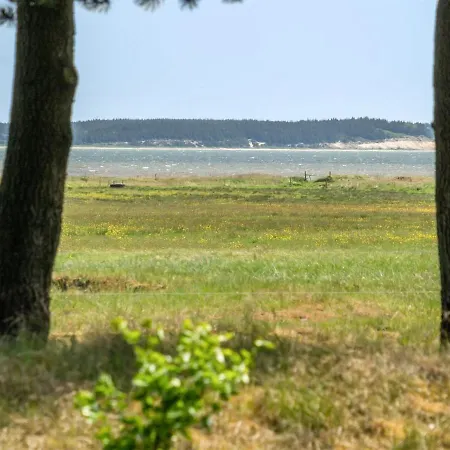 Elny - 500m To The Inlet In Western Jutland By Interhome Holiday home Blavand