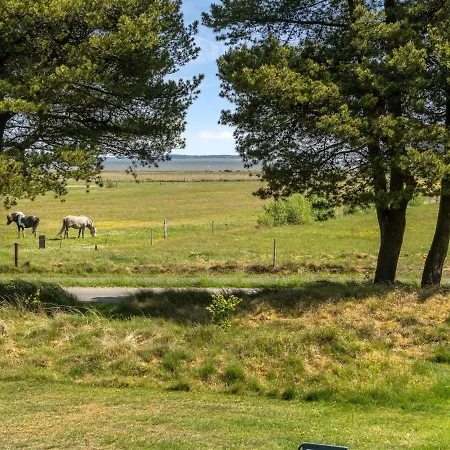 Holiday home Elny - 500m To The Inlet In Western Jutland By Interhome